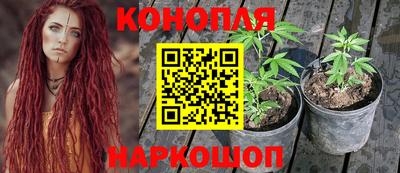 скорость Будённовск