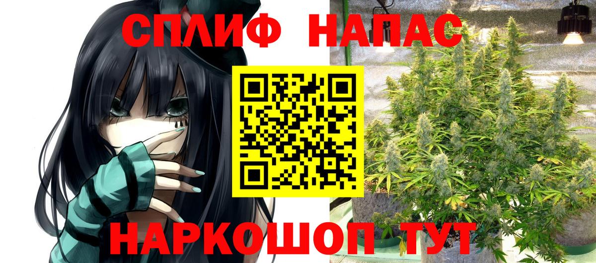 Каннабис Ganja  Канабис AK-47  Вход с VPN  Ачхой-Мартан 